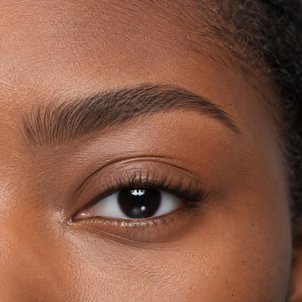 Micro Precision Brow Pen — Black Out
