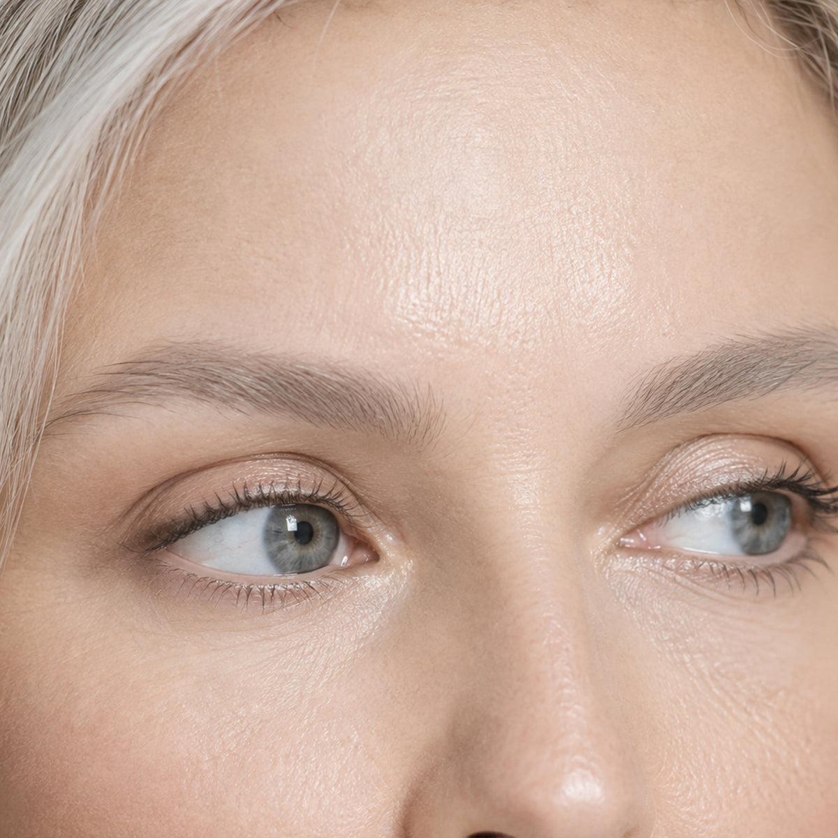 Micro Precision Brow Pen — Grey Mist